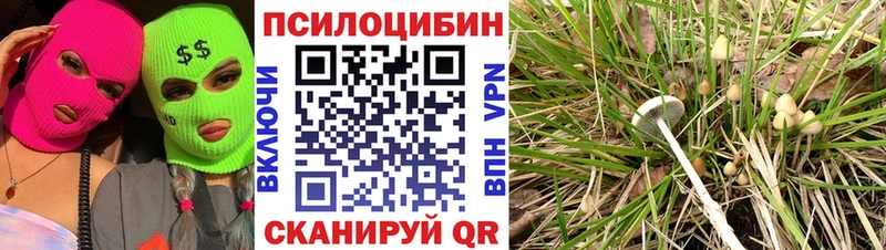 купить  сайты  Нытва  Галлюциногенные грибы MAGIC MUSHROOMS 